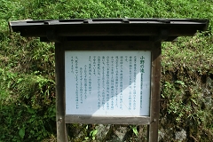 ̑